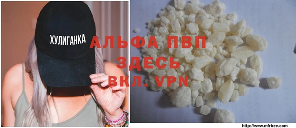 стаф Алексин