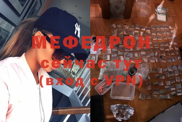 стаф Алексин