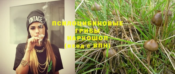 твердый Алзамай