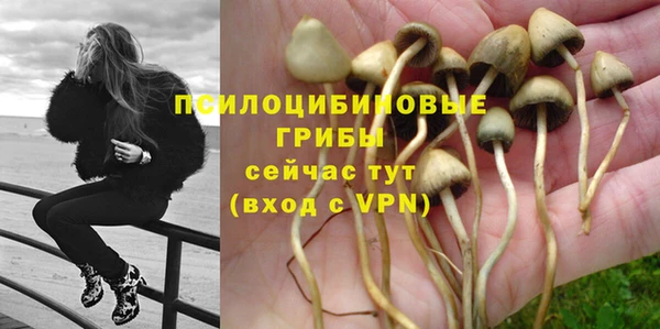 МДПВ Алексеевка