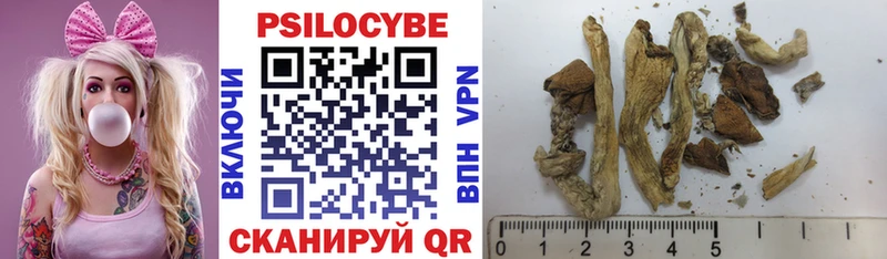 Псилоцибиновые грибы GOLDEN TEACHER что такое Находка